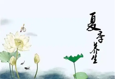 三伏天怎么调理身体|正规药浴加盟
